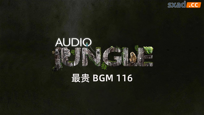 【音频素材】Audiojungle音频之最贵BGM116首